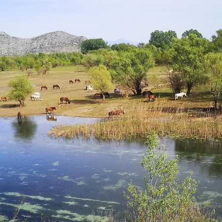 Wild Beauty House Skadar Lake Цетинє Екстер'єр фото