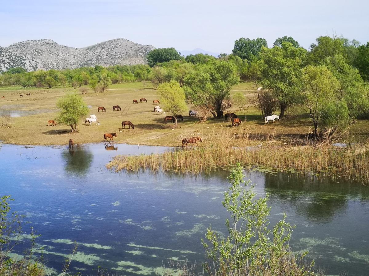 Wild Beauty House Skadar Lake Цетинє Екстер'єр фото